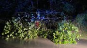 T1 - Baum blockiert Straße - 04.05.2020
